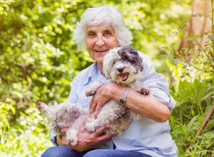 Happy Smiling Senior Woman Hugging her White Havanese Dog Outdoor in the Summer Nature. Active Seniors Concept