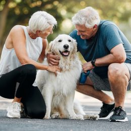 10 Best Breeds for First-Time Senior Owners