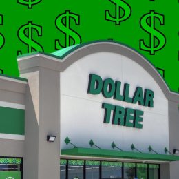 11 Best Dollar Tree Deals of 2026