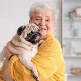 Senior woman with pug dog at home