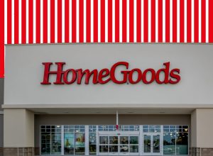 11 HomeGoods Finds to Start 2026