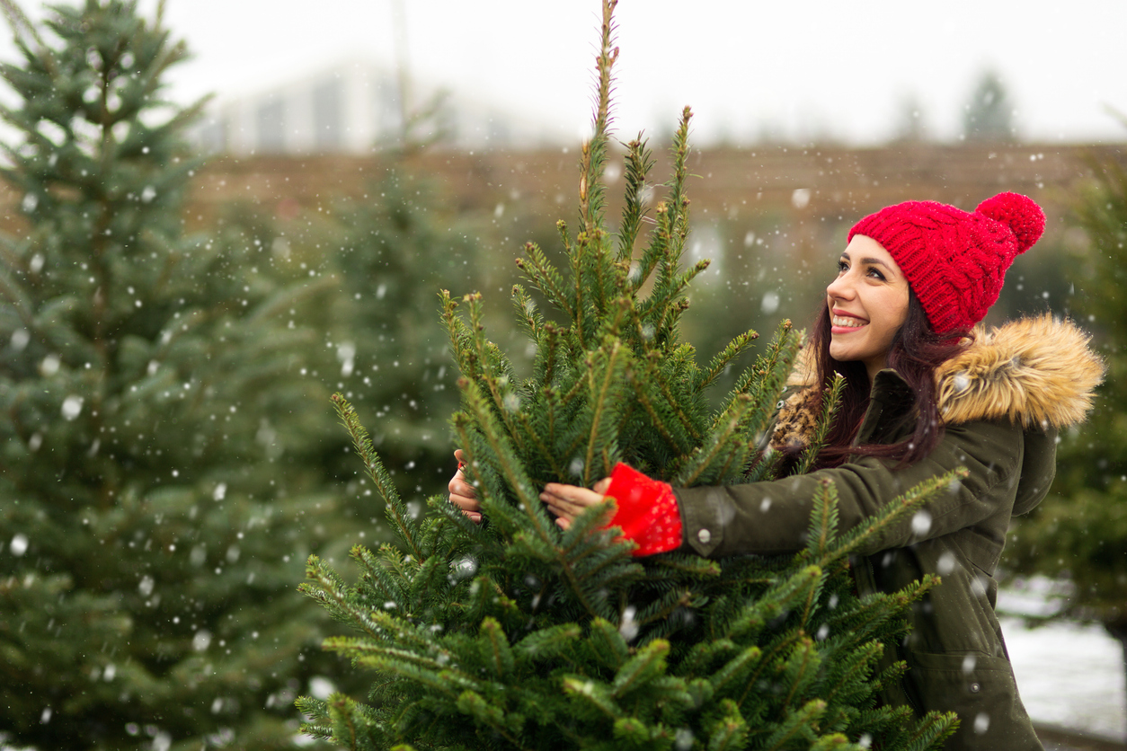 Young Woman Buying Christmas Tree at Christmas tree farm