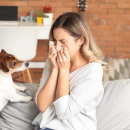 woman sneezing next to a dog on her couch