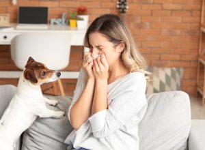 woman sneezing next to a dog on her couch