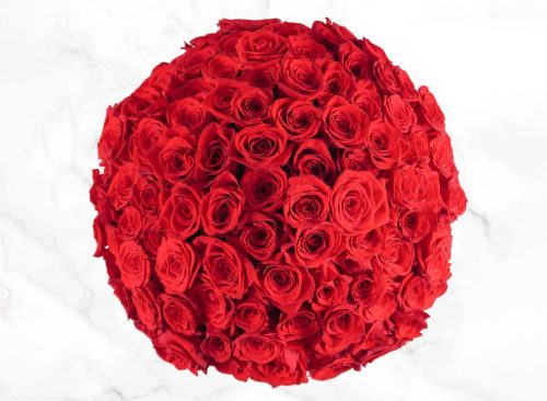 100-Stem Roses