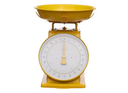 Citrus Kitchen Scale by Ashland®