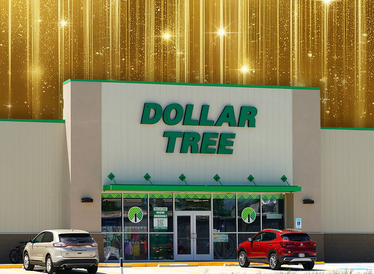 6 Best New Dollar Tree Organizing Finds And Diys For February