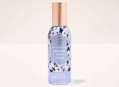 Morning Rainstorm Concentrated Room Spray