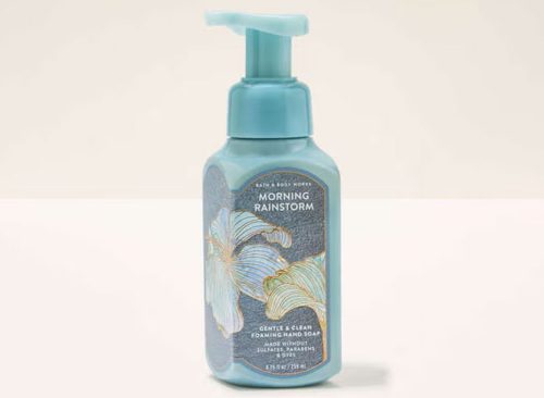 Morning Rainstorm Gentle & Clean Foaming Hand Soap