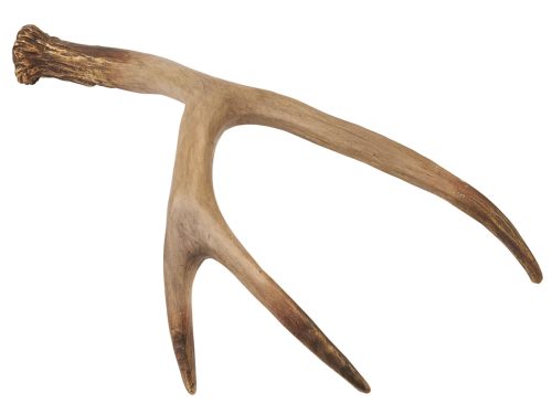 White River Home Antler Table Decor