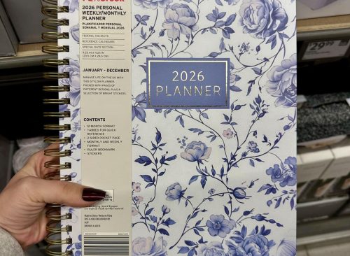 Aldi 2026 Planner