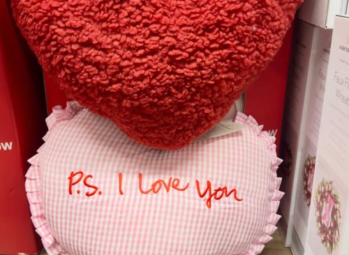 Aldi Heart Pillows