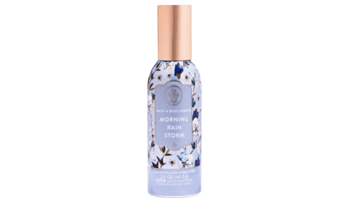 Bath & Body Works Morning Rain Storm room spray