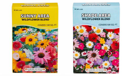 wildflower seeds