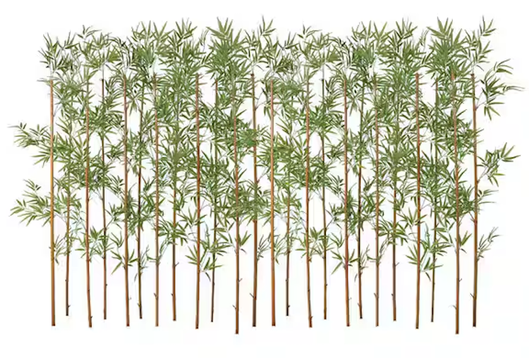 Dr. Planzen Artificial Bamboo Tree 24-Pack