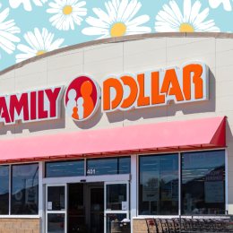 11 Best New Family Dollar Home & Garden Finds