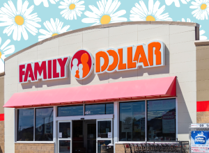 11 Best New Family Dollar Home & Garden Finds