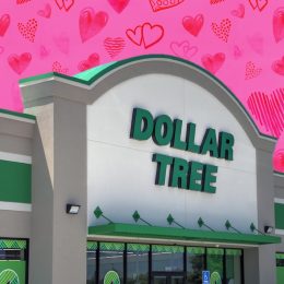 7 Best Dollar Tree Decor Finds