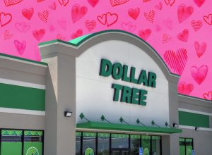 7 Best Dollar Tree Decor Finds