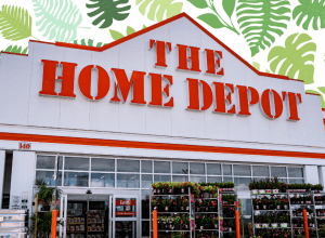 Home Depot store with a leaf background