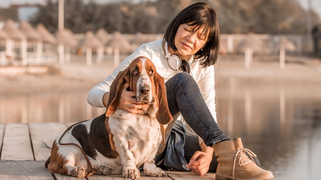 Portrait of beautiful young woman playing with dog by the river. Happy woman sitting on the wooden pier with her dog Basset Hound. Woman with puppy.