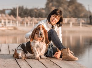 Portrait of beautiful young woman playing with dog by the river. Happy woman sitting on the wooden pier with her dog Basset Hound. Woman with puppy.