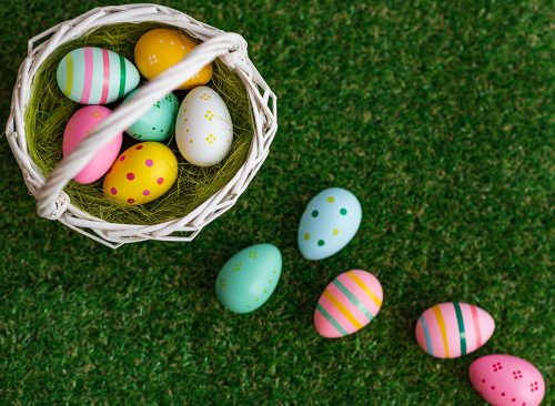 Colorful easter eggs in nest on meadow