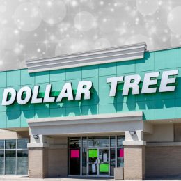 7 Best Dollar Tree New Arrivals