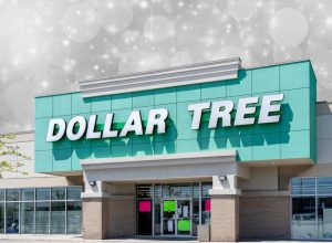 7 Best Dollar Tree New Arrivals
