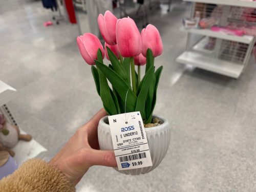 small tulips