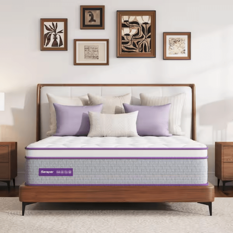 Sperser Queen Size Medium Firm Memory Foam 5-Zone Hybrid Innerspring Euro Top 14 in. Bed-in-a-Box Mattress