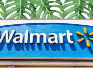 Walmart store sign with a leaf background