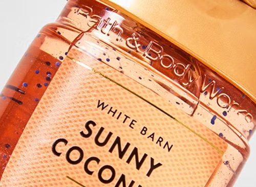 Bath & Body Works PocketBac Sanitizer