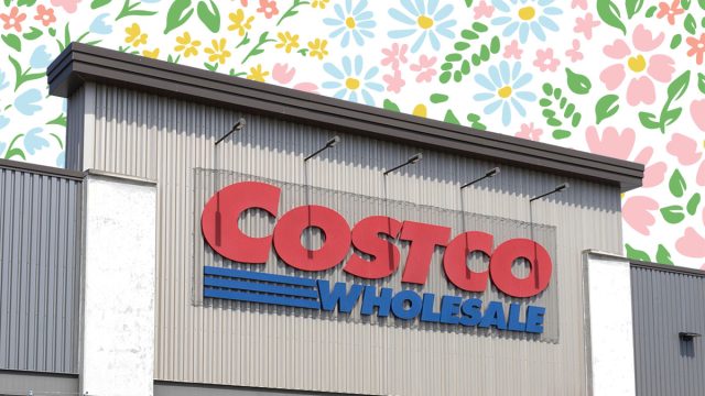 Costco Spring