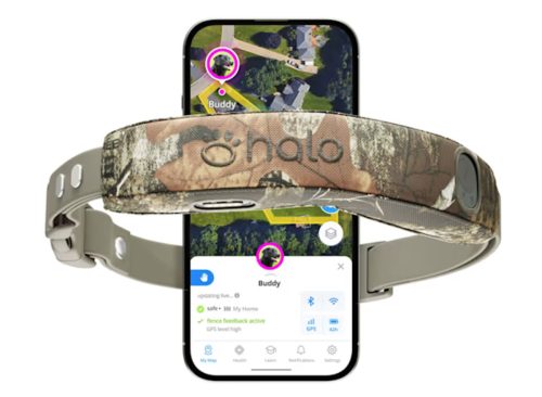 Halo Collar 5, New Wireless Dog Fence & GPS Dog Collar, Subscription Required, Waterproof, Realtree Camo