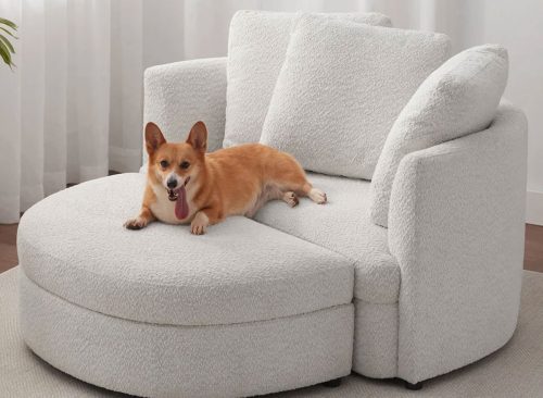 Holley Oversized Fabric Accent Chair with Storage Ottoman