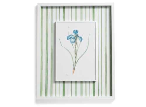 STUPELL 16x20 Iris Wall Art