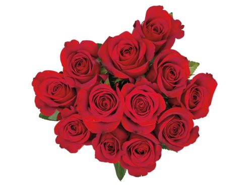 Valentine's Day 12 Stem Roses - Assorted Colors