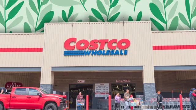 Costco store with a greenery background