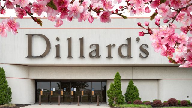 Dillard's store with a cherry blossom background