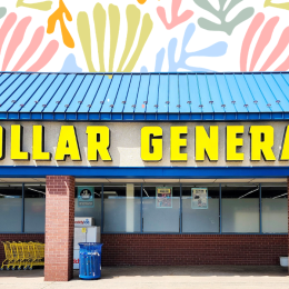 Dollar General store with a pastel plant background