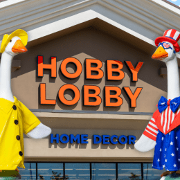 Hobby Lobby store with porch geese