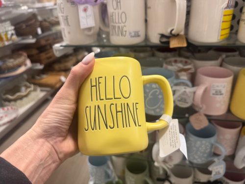 homegoods-new-arrivals-rae-dunn-mug
