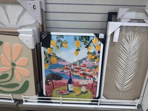 homegoods-new-arrivals-sapna-shah-art