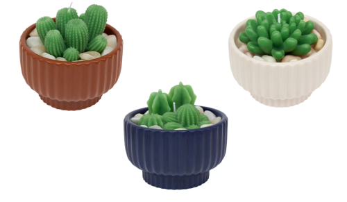 succulent-shaped candles