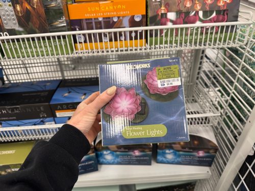 ross-outdoor-flower-lights