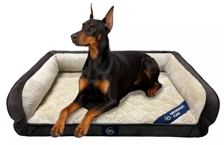 Serta Quilted Orthopedic Couch