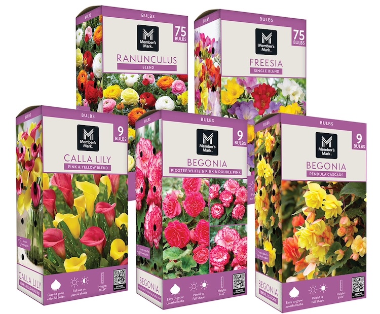 Member's Mark Boxed Spring Flower Bulbs
