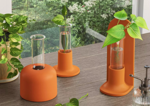 glass and terracotta terrariums