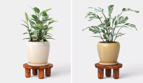 planters on wooden plant stands